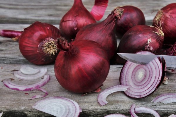 Кракен ссылка bazaonion com