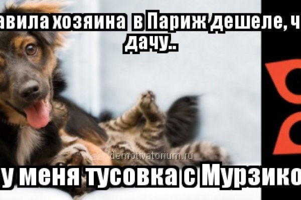 Как сделать заказ на кракен