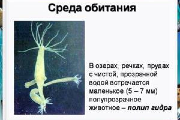 Kraken darknet