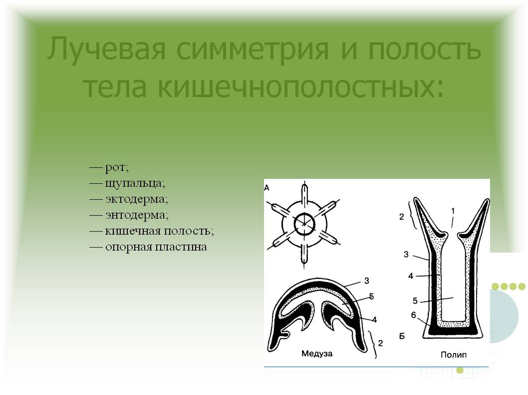 Кракен сайт ссылка kr2web in