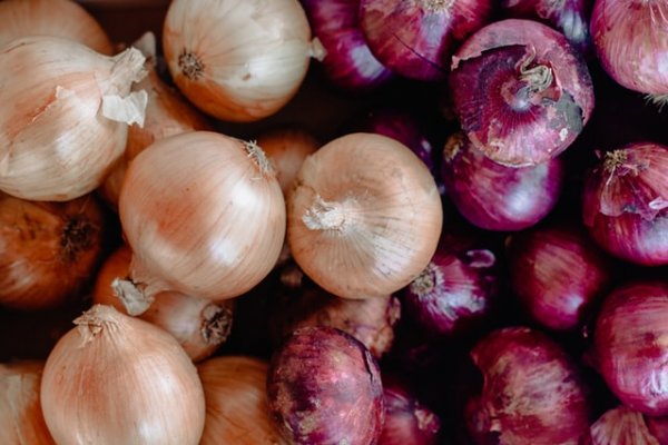Kraken tor onion