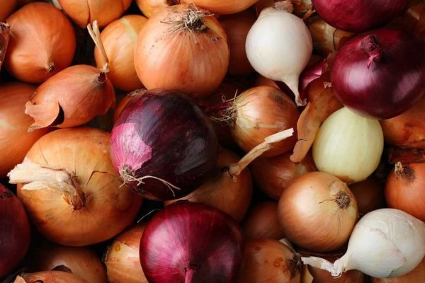 Kraken tor onion
